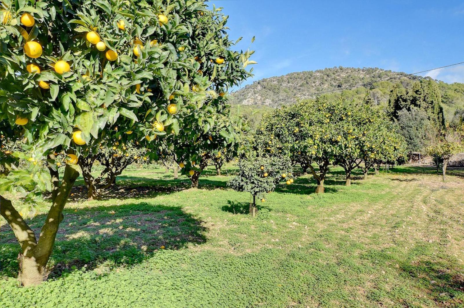 Villa Bell Lloc By Somnia Felanitx Εξωτερικό φωτογραφία